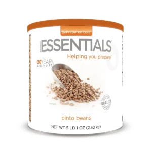 EE Pinto Beans Large Can